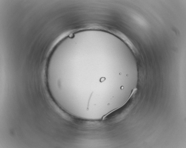 X0000115301142200911231304