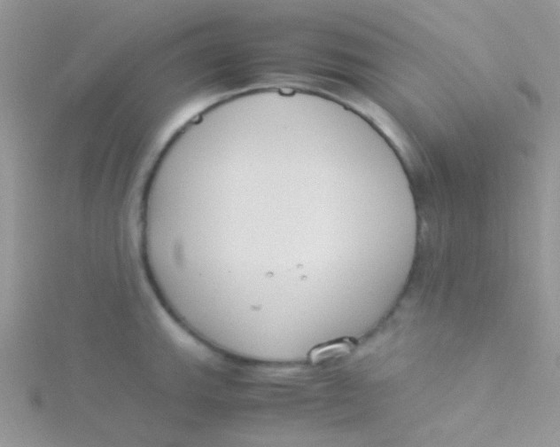 X0000115301143200911231304