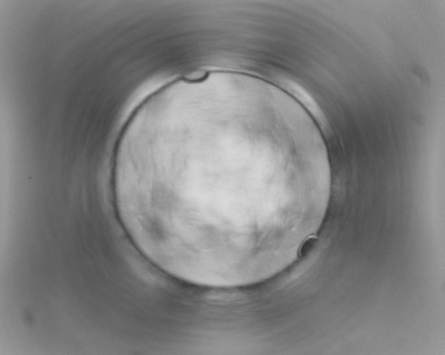 X0000115301146200911231304