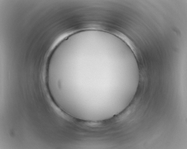 X0000115301147200911231304