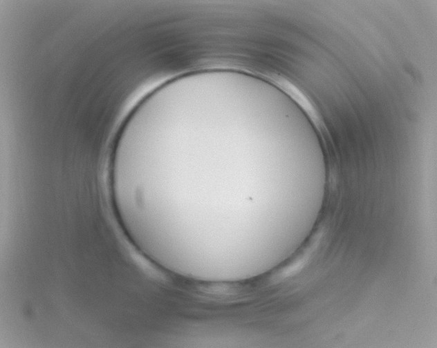 X0000115301149200911231304