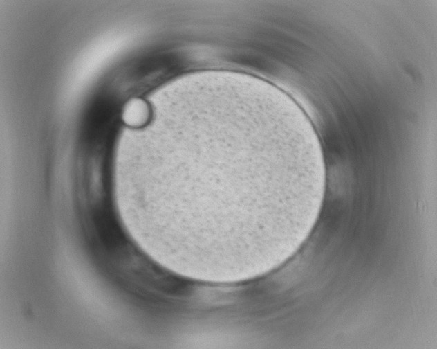 X0000115301150200911231304