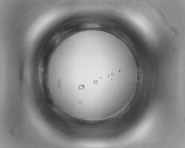 X0000115301151200911231304