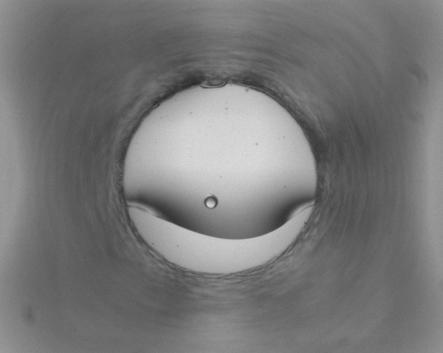 X0000115301153200911231303