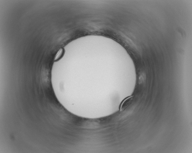 X0000115301156200911231303