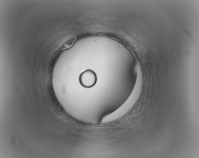 X0000115301157200911231303