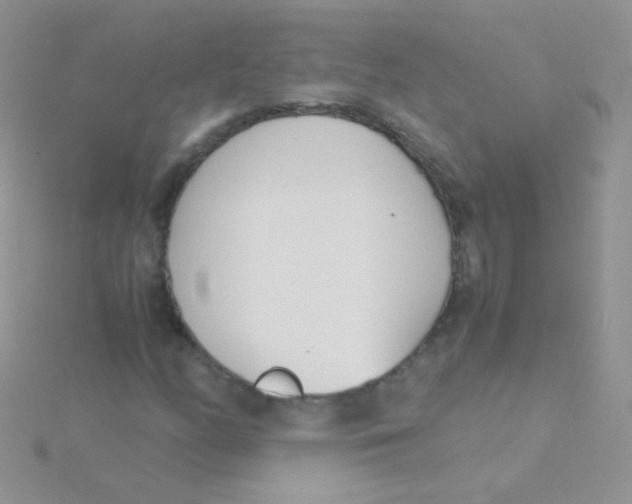 X0000115301158200911231303