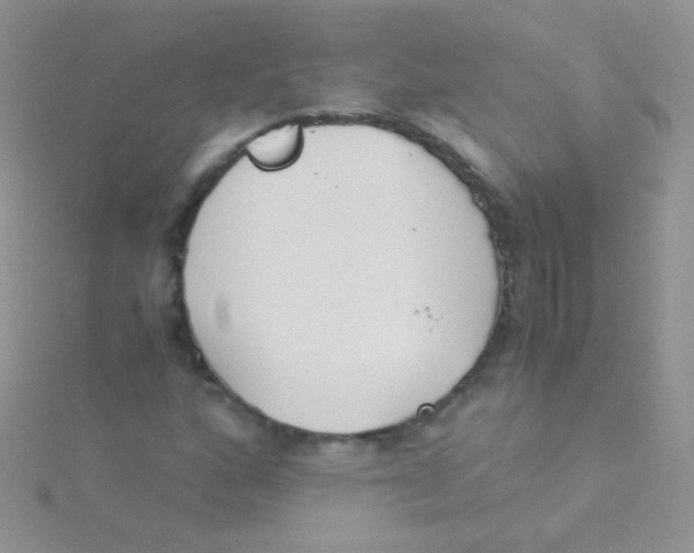 X0000115301160200911231303