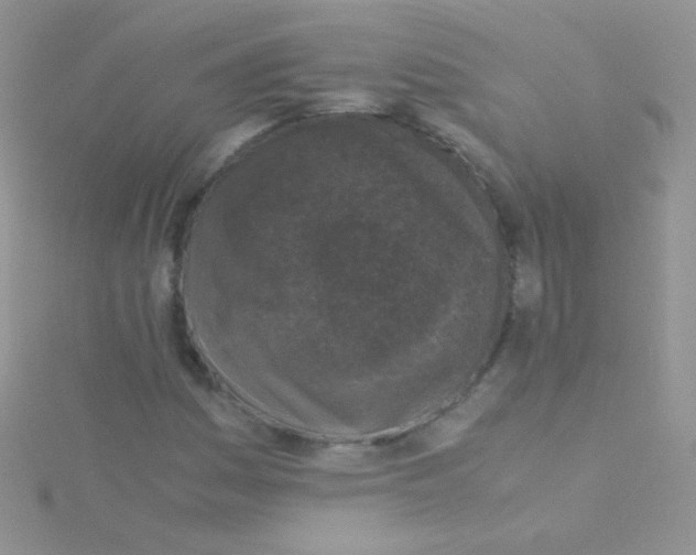 X0000115301161200911231303