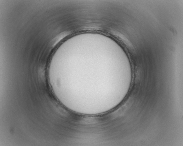 X0000115301162200911231303