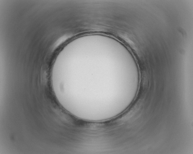 X0000115301163200911231303