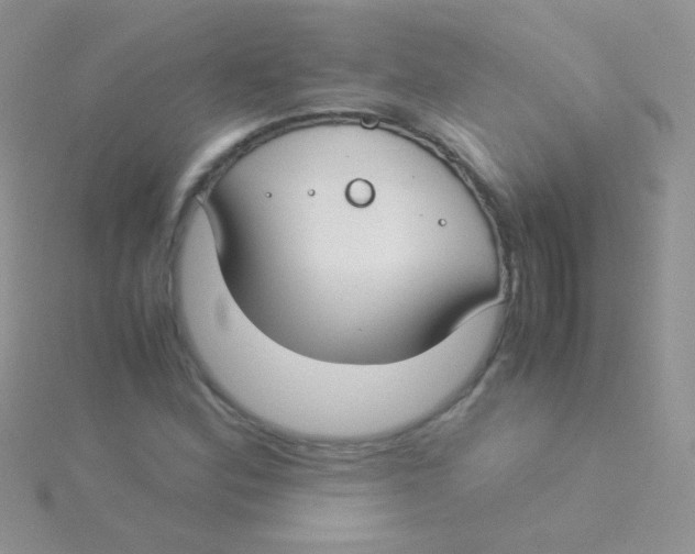 X0000115301164200911231303