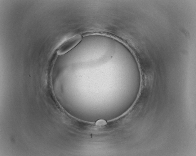 X0000115301165200911231303