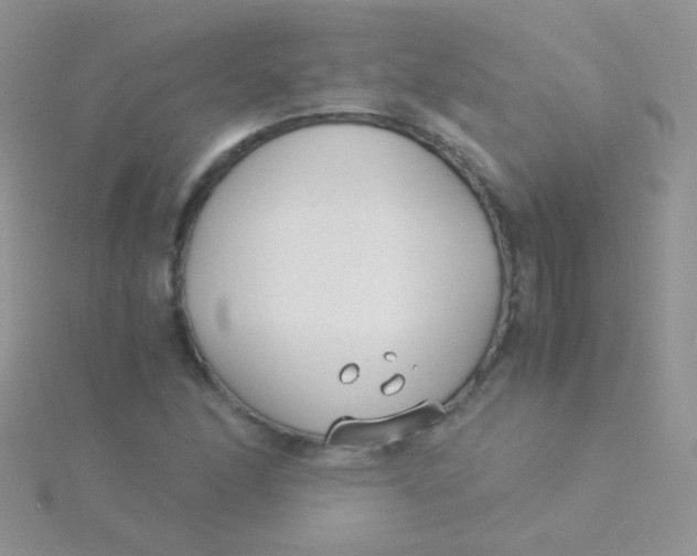 X0000115301166200911231303