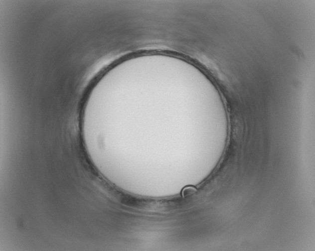 X0000115301167200911231303