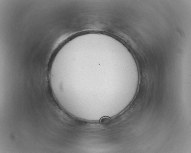 X0000115301168200911231303