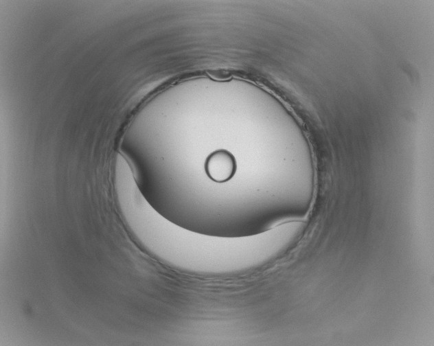 X0000115301169200911231303