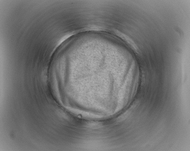 X0000115301170200911231303