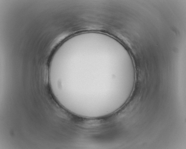 X0000115301171200911231303