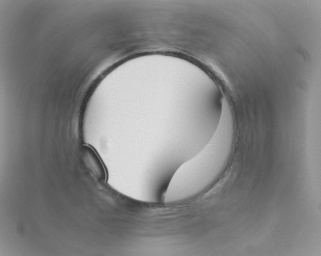 X0000115301173200911231303