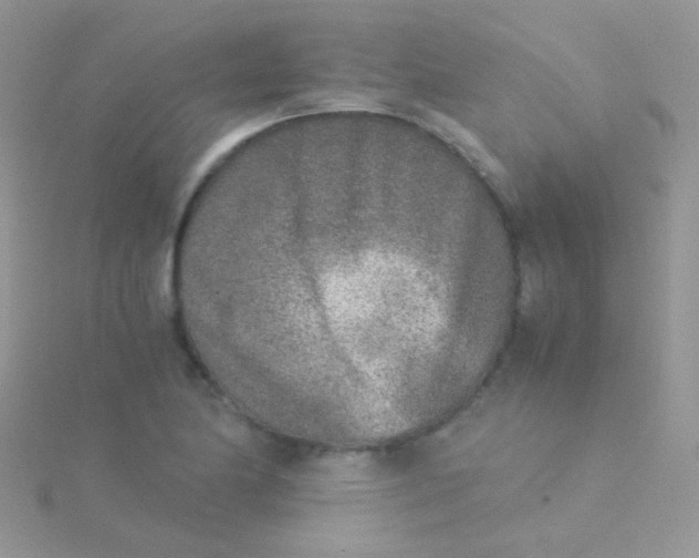 X0000115301174200911231303