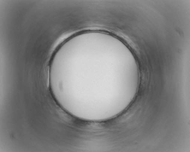 X0000115301175200911231303