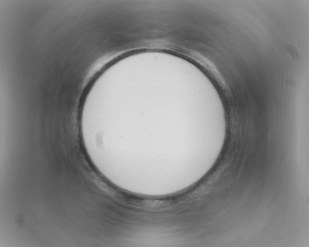 X0000115301176200911231303