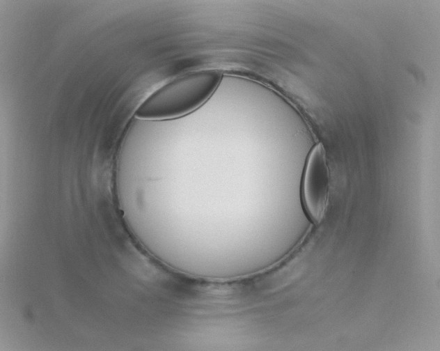 X0000115301177200911231303