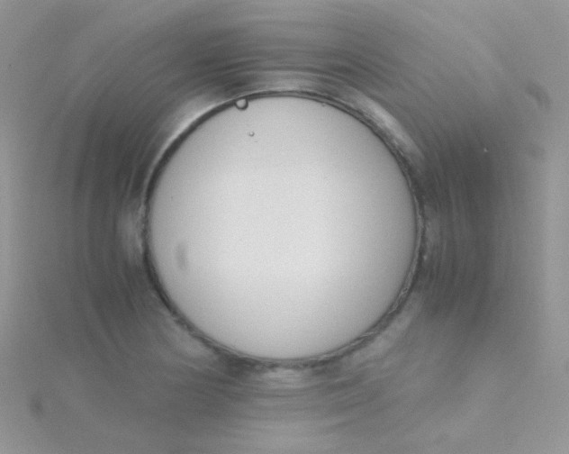 X0000115301178200911231303