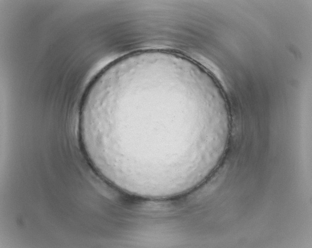 X0000115301179200911231303