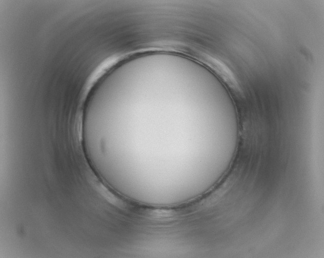 X0000115301180200911231303