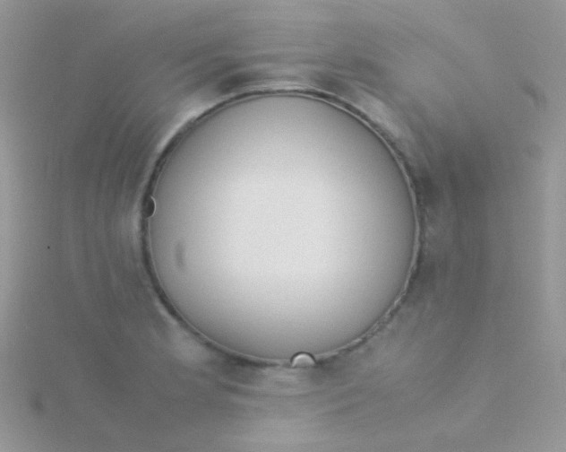 X0000115301181200911231303