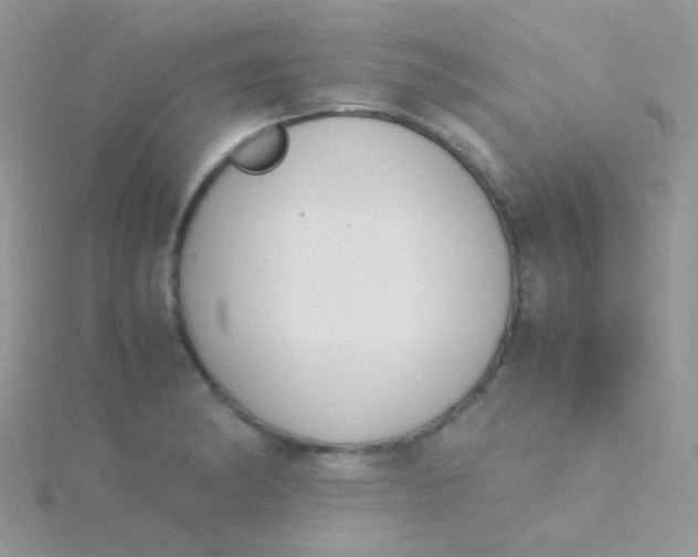 X0000115301182200911231303