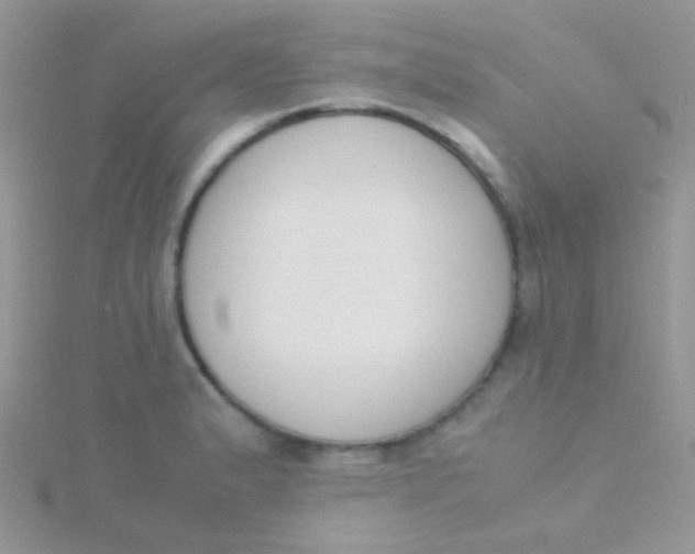 X0000115301183200911231303