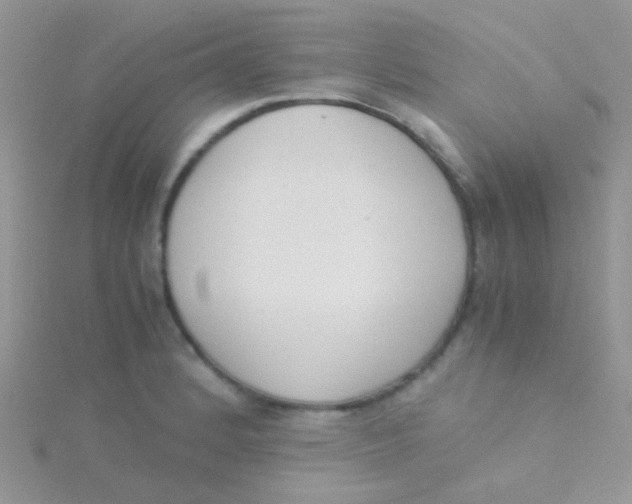 X0000115301184200911231303