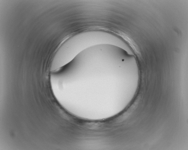 X0000115301185200911231303