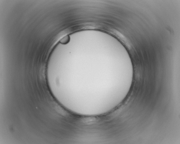 X0000115301186200911231303