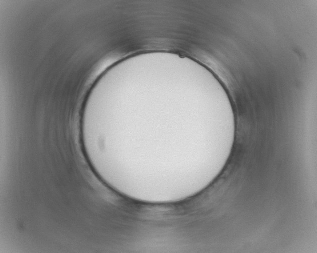 X0000115301187200911231303