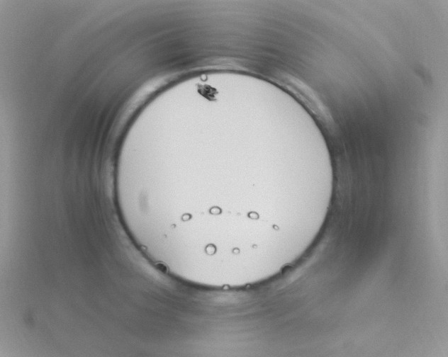 X0000115301188200911231303