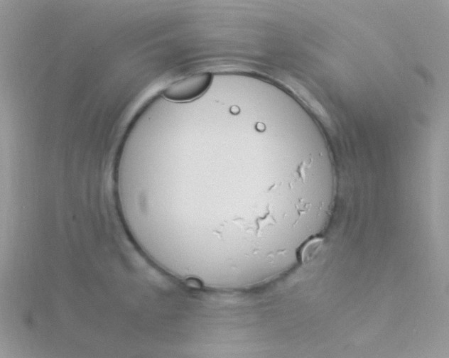 X0000115301189200911231303