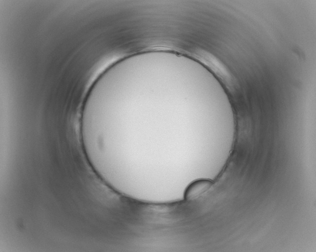 X0000115301190200911231303