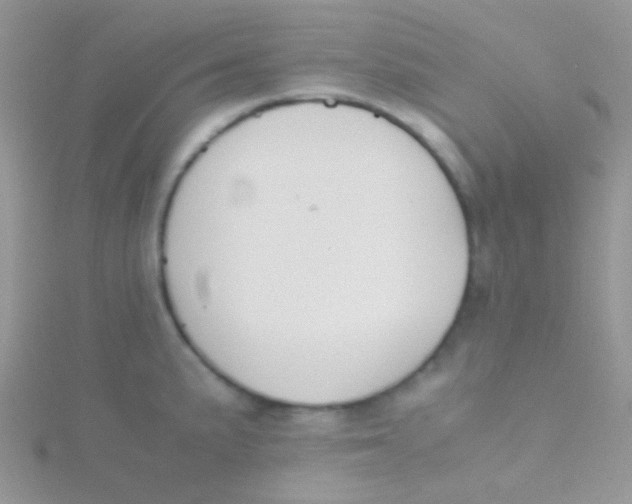 X0000115301191200911231303