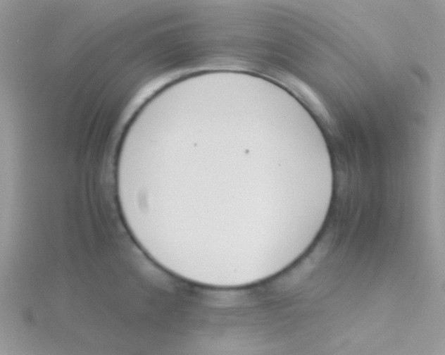 X0000115301192200911231303