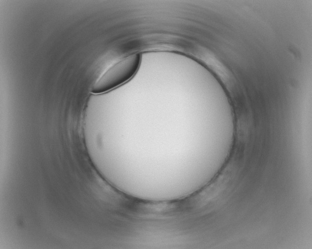 X0000115301193200911231303