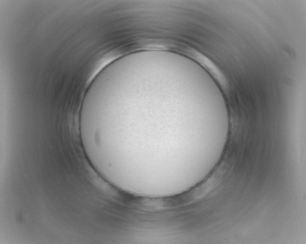 X0000115301194200911231303