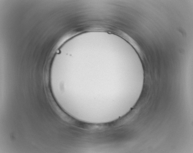 X0000115301195200911231303