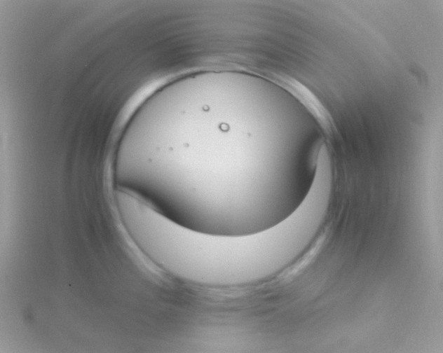 X0000115301196200911231303