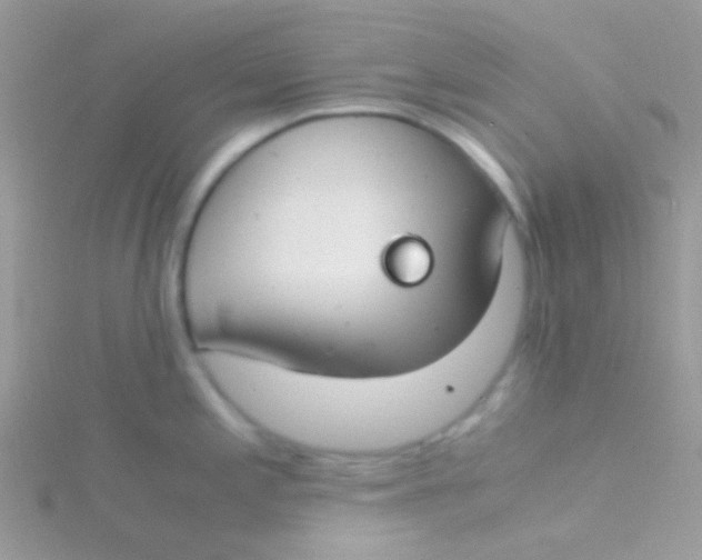 X0000115301197200911231303