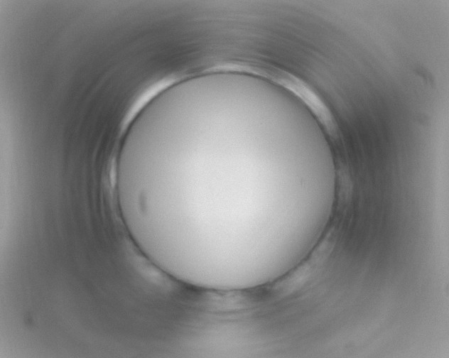 X0000115301198200911231303