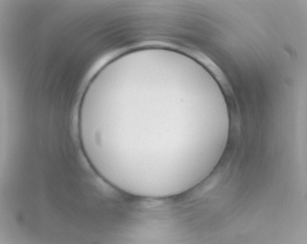 X0000115301199200911231303